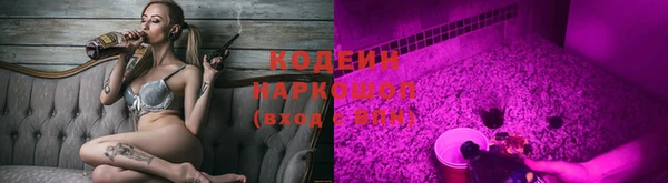 Альфа ПВП Елизово