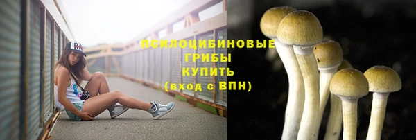 PSILOCYBIN Ельня