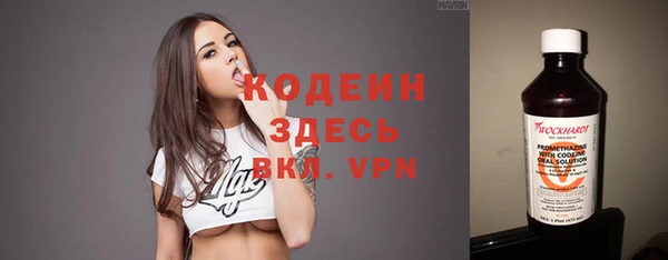 PSILOCYBIN Ельня