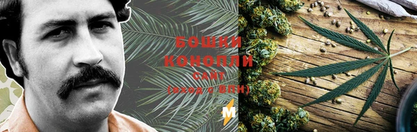 PSILOCYBIN Ельня