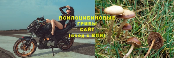 PSILOCYBIN Ельня