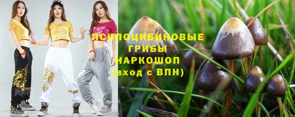 Альфа ПВП Елизово