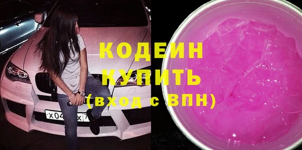 PSILOCYBIN Ельня