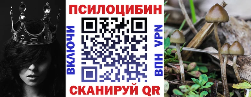 купить   Салават  Галлюциногенные грибы Magic Shrooms 