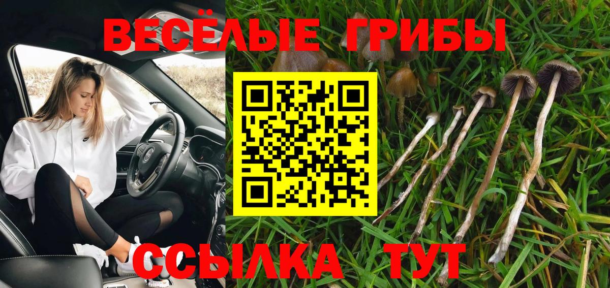 Псилоцибиновые грибы MAGIC MUSHROOMS  Вход с VPN  Салават 