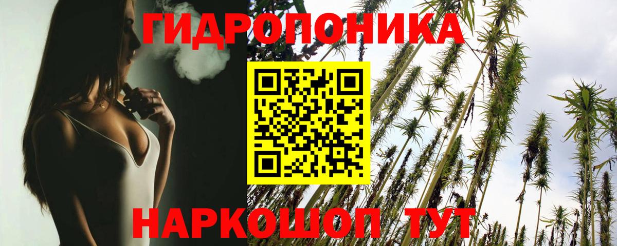 Шишки марихуана планчик Салават